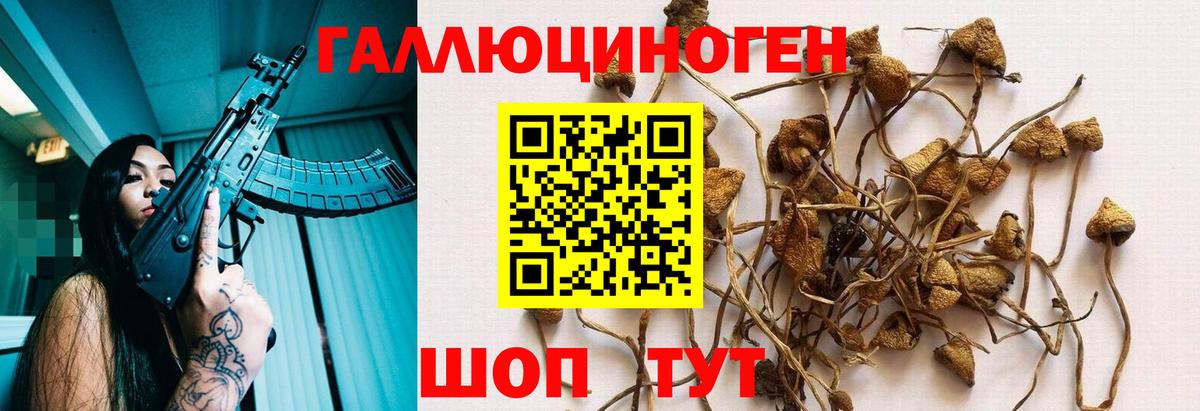 Псилоцибиновые грибы MAGIC MUSHROOMS  Вход с VPN  Горячий Ключ 